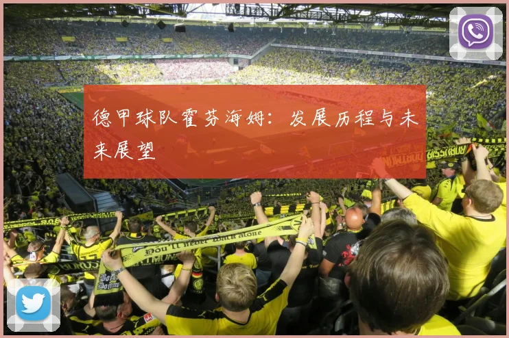 德甲球队霍芬海姆:发展历程与未来展望