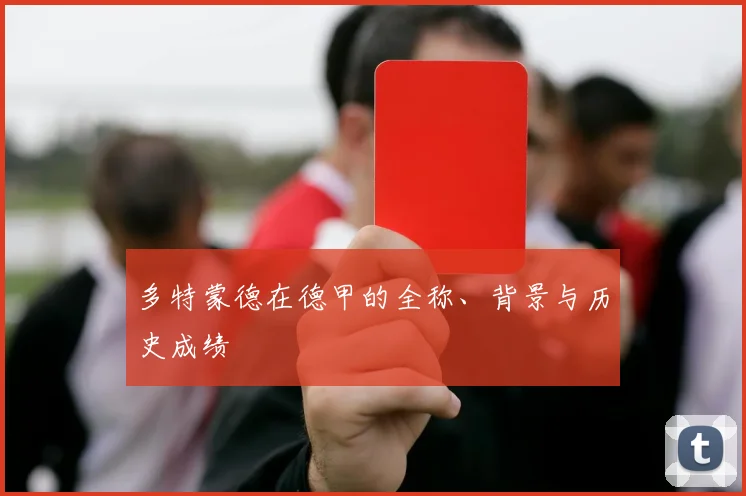 多特蒙德在德甲的全称、背景与历史成绩