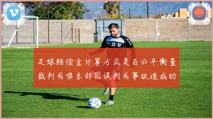 足球赔偿金计算方式是否公平衡量裁判或俱乐部因误判或事故造成的经济损失